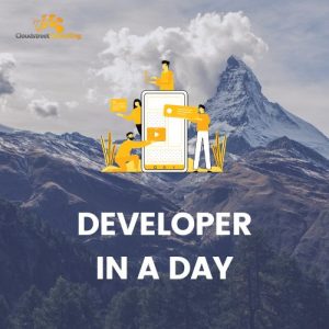 DEVELOPER IN A DAY solutions training courses recruiting consulting NT darwin