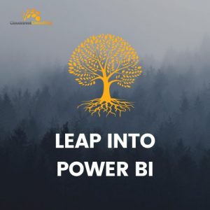 LEAP INO POWER BI solutions training courses recruiting consulting NT darwin