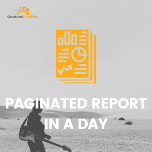 PAGINATED REPORT IN A DAY solutions training courses recruiting consulting NT darwin